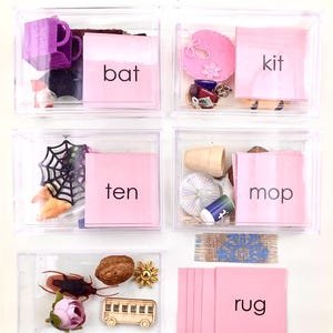 May include: A series of clear plastic boxes, each holding small objects and a pink card with a word. The words displayed are "bat", "kit", "ten", "mop", and "rug". The image is titled "Pink Series Objects & Words".