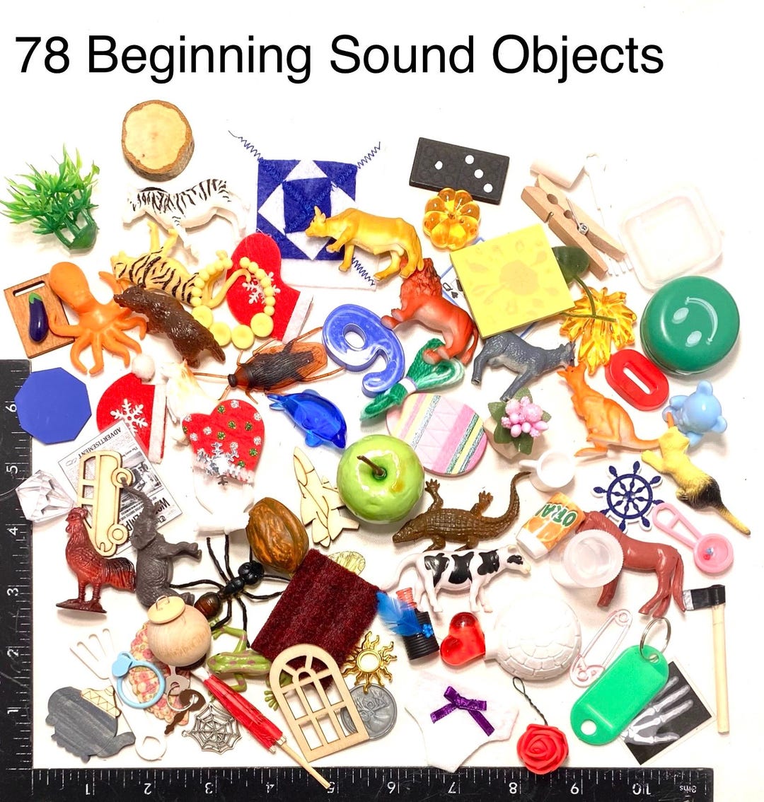 Montessori Beginning Sound Objects With Magnetic Letters: Phonetic ...