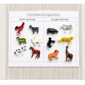 May include: A white sorting chart titled Farm Animals and Jungle Animals with two columns. The farm side features a red cockerel, grey goat, green sheep, white dog, black and white cow, and brown horse. The jungle side has a black hippo, zebra, black bear, yellow leopard, orange lion, and brown giraffe.