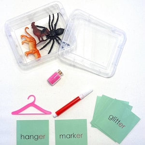 May include: A clear plastic container with toy animals, a pink hanger, a red marker, a small bottle of pink glitter, and green cards with the words "hanger", "marker", and "glitter".