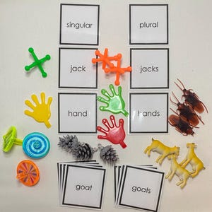 May include: An educational display with cards labelled "singular" and "plural." The image includes colourful plastic toys such as jacks, hands, and toy goats, arranged with the cards. Toy cockroaches and pinecones are also present.