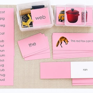 Könnte beinhalten: Ein Set aus pädagogischen rosa Karten mit aufgedruckten Wörtern wie cot, pig, keg, cat, tub, hut, pun, gum, bus, jug, cub, mug, bud, web, the und ran sowie Bildkarten mit einem Fuchs, Taxi, Topf und einer Getränkedose in durchsichtigen Kunststoffboxen.