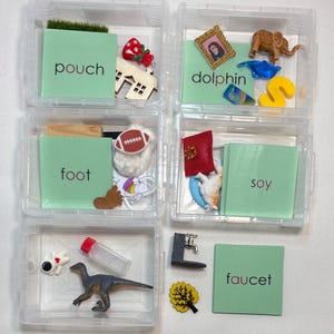 May include: Six clear plastic storage boxes containing assorted miniature items, such as a house, a football, a dinosaur, and a faucet. Each box features a green card with a word: pouch, foot, soy, dolphin, and faucet.