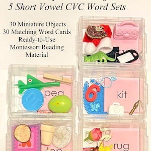 Op de afbeelding: Montessori Pink Series educatieve set met miniatuur objecten en woordkaarten. Bevat 30 miniatuur objecten en 30 bijpassende woordkaarten. De set bevat 5 korte klinker CVC woordensets. De woorden "pea", "kit" en "rug" zijn zichtbaar.