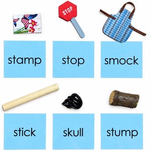 Montessori Blue Series Language Set | Phonetic Reading Materials (Complete Collection)