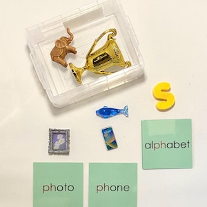 May include: A clear plastic container holds a gold trophy and a brown elephant figurine. Other items include a blue fish, a yellow letter "S", a miniature framed picture, a phone, and green cards with the words "photo", "phone", and "alphabet".