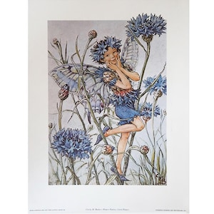May include: A fairy with blue wings and a blue dress stands in a field of blue cornflowers. The fairy is smiling and holding her hands to her cheeks. The flowers are in full bloom and the background is a soft blue.