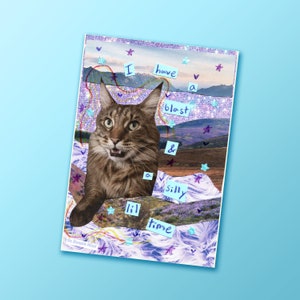 Glossy Aufkleber | Ich habe eine Explosion und eine alberne lil Zeit, lustige Maine-Coon-Katze | Planer, Notizbuch, Journal, Skizzenbuch Aufkleber
