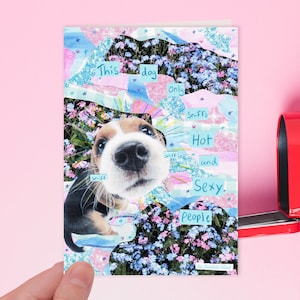 Dieser Hund schnuppert nur heiße und sexy Menschen | Lustiger Hund meme Galentinstag, Geburtstagskarte, Jahrestagskarte, Valentinsgruß, Galentines