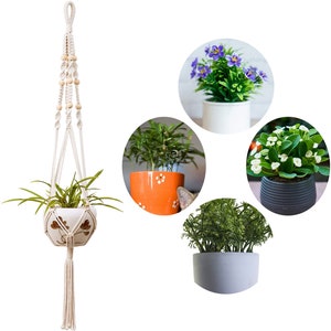 Pode incluir: Um suporte de plantas de macramê branco com contas de madeira, segurando uma planta em vaso. O suporte está pendurado no teto. Há outras quatro plantas em vaso na imagem, cada uma em um vaso de uma cor diferente.
