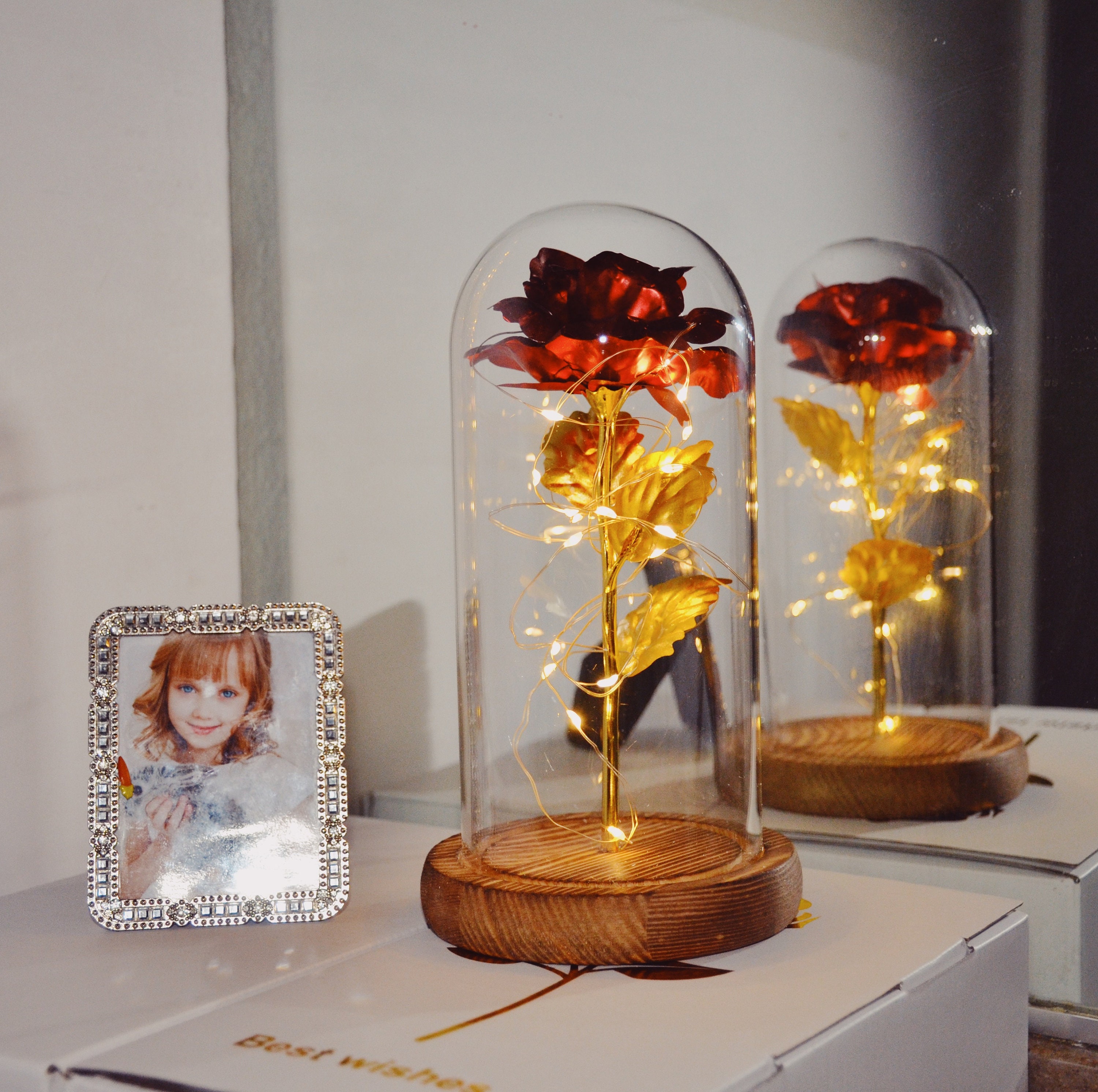 Rose Flower in Glass Dome with LED String Lights Unique Gifts Etsy