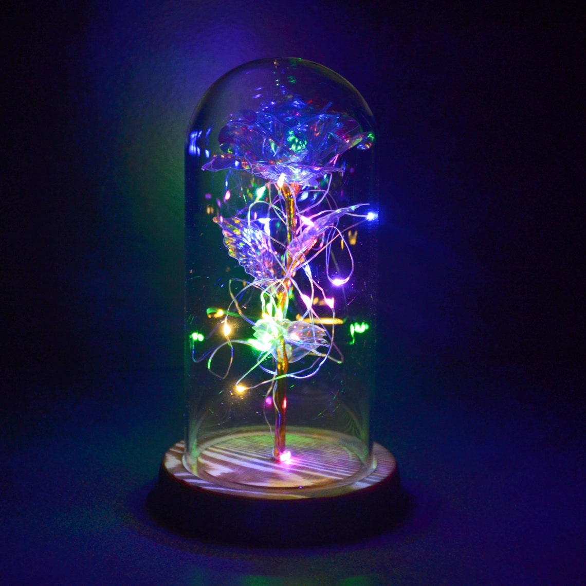 Rose Flower in Glass Dome with LED String Lights Unique Gifts Etsy