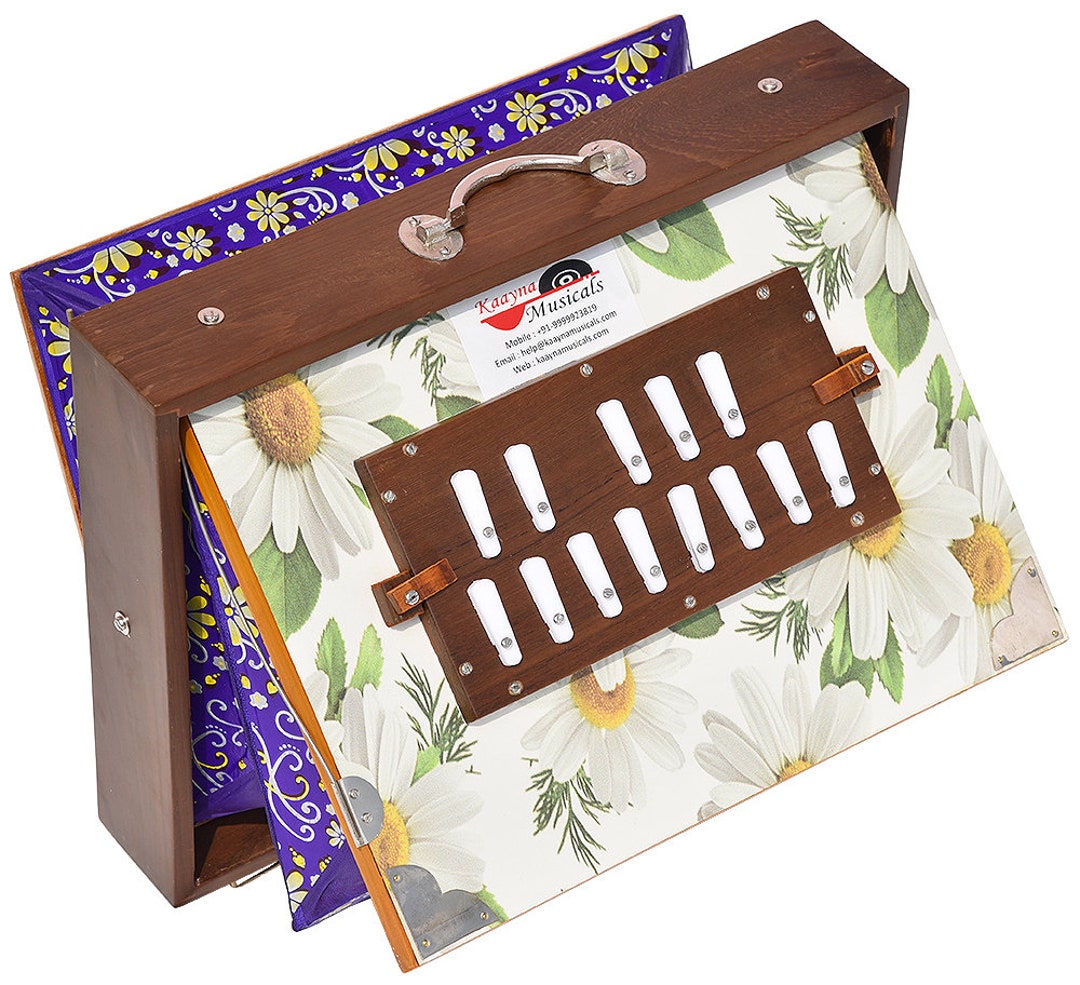 Shruti Box Teak Wood Size 16 X 12 X 3 Inches, Gig Bag, Flower Look