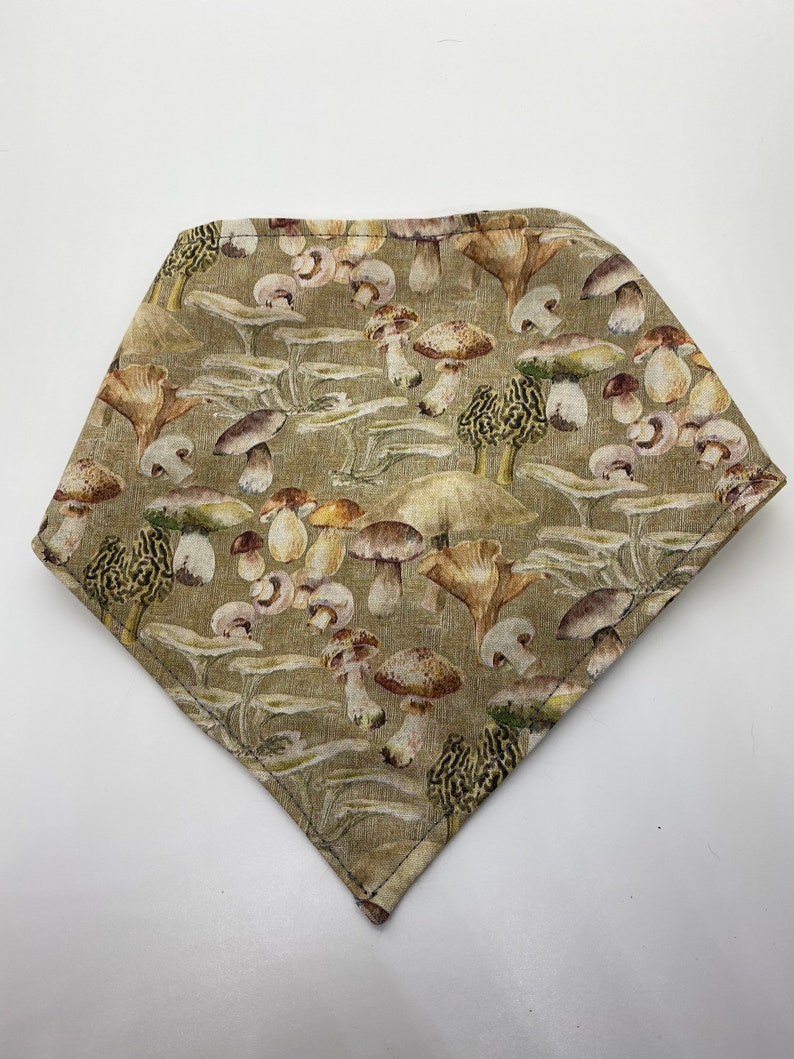 Mushroom Pet Bandana Fungi Halloween Accessories for Dogs Fall Etsy