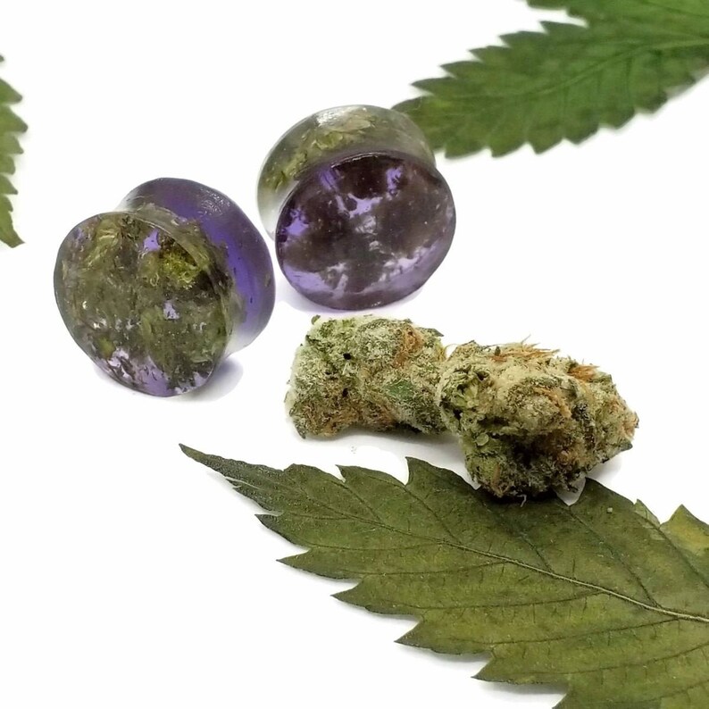 Nug Plugz Translucent Purple Real Weed embedded Ear Plugs Etsy