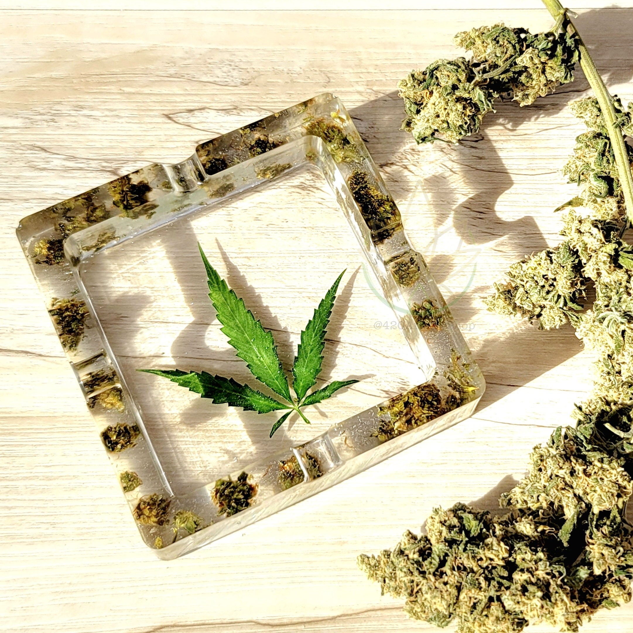 Marijuana Glass Ash Trays Stogz
