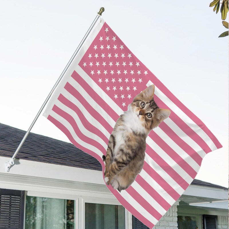 Custom Pink America Flag - Etsy