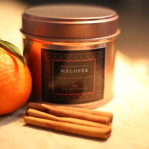 Cinnamon and mandarin candle