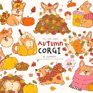 May include: A digital illustration set featuring 40 hand-drawn elements of Corgi dogs in autumn themes, including pumpkins, fall leaves, scarves, and pies. The text reads 100% HAND DRAWN AUTUMN CORGI 40 ELEMENTS SVG PNG TRANSPARENT BACKGROUND.