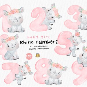 Chiffres d'anniversaire pour bébé, rhinocéros rose, couronne de fleurs, art pour chambre d'enfant, dessin aquarelle à la main