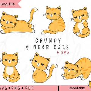 Gato gruñón png, Gato gruñón svg, Conjunto SVG de gato jengibre divertido, Imágenes prediseñadas atigrado naranja, Dibujo a mano de dibujos animados de garabato, Animal felino divertido.