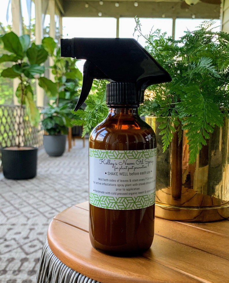 Kelleys Neem Oil Spray 8oz for houseplant pests mealy bugs Etsy
