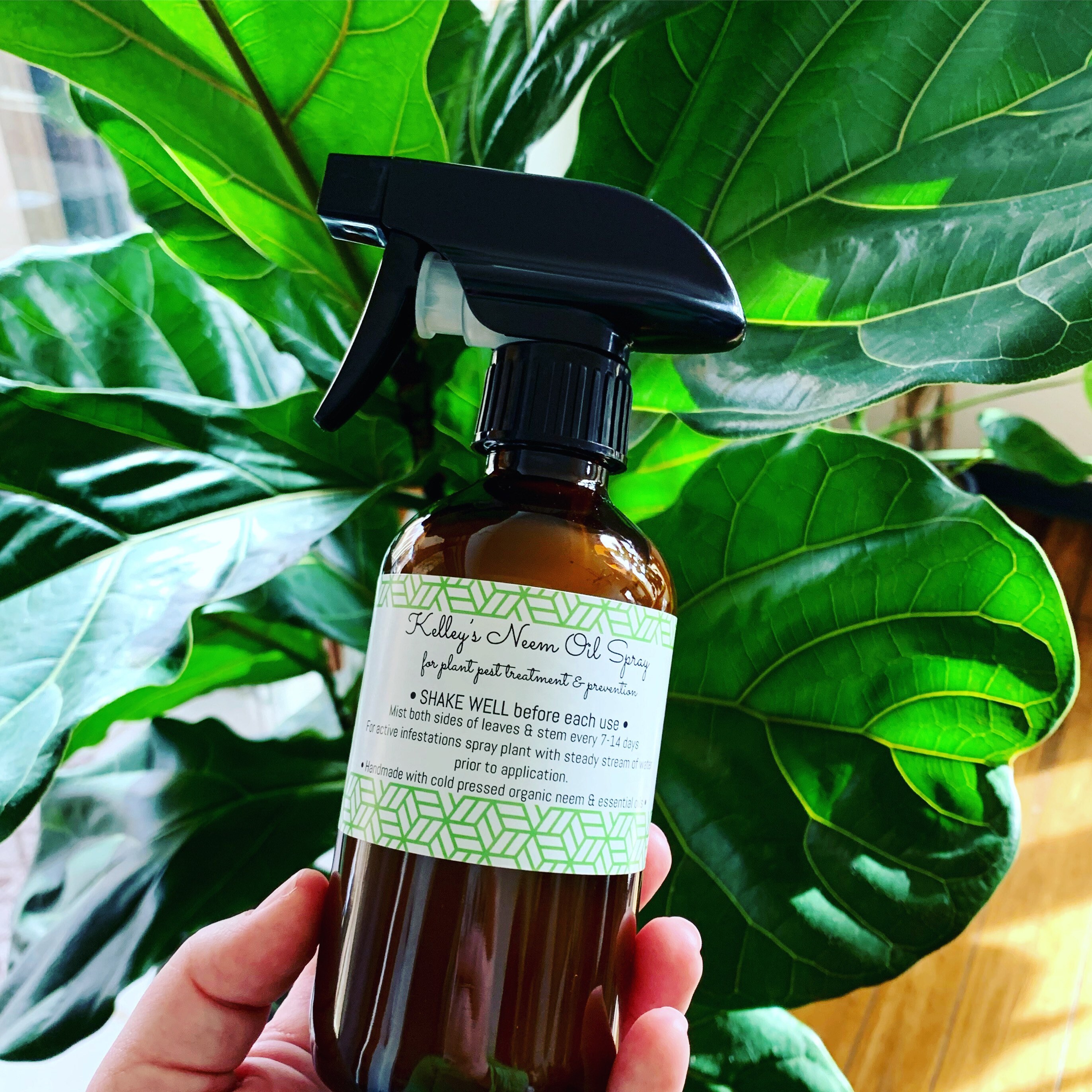 Kelleys Neem Oil Spray 16oz for houseplant pests mealy bugs Etsy