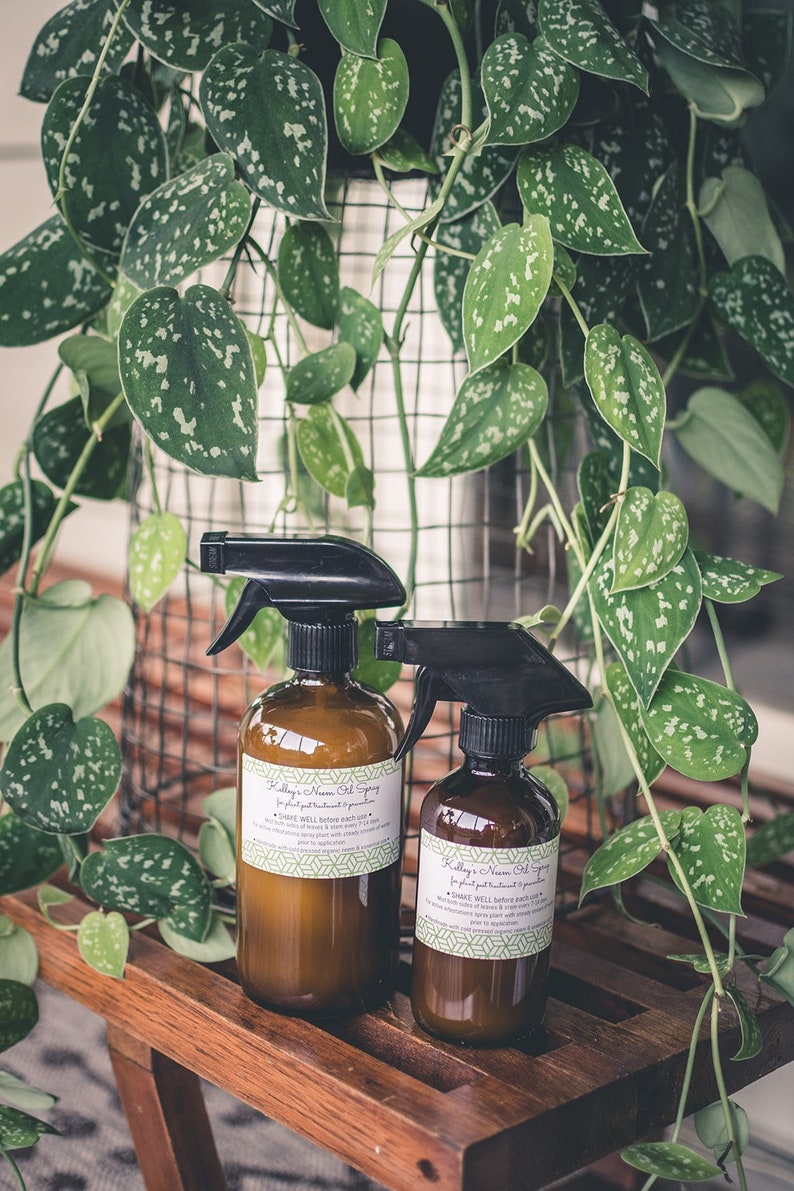 Kelleys Neem Oil Spray 16oz for houseplant pests mealy