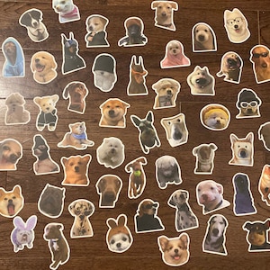 Multipack Dog Meme Stickers, Funny dog, water resistant stickers, laptop stickers, puppy meme stickers for laptop, silly dog stickers