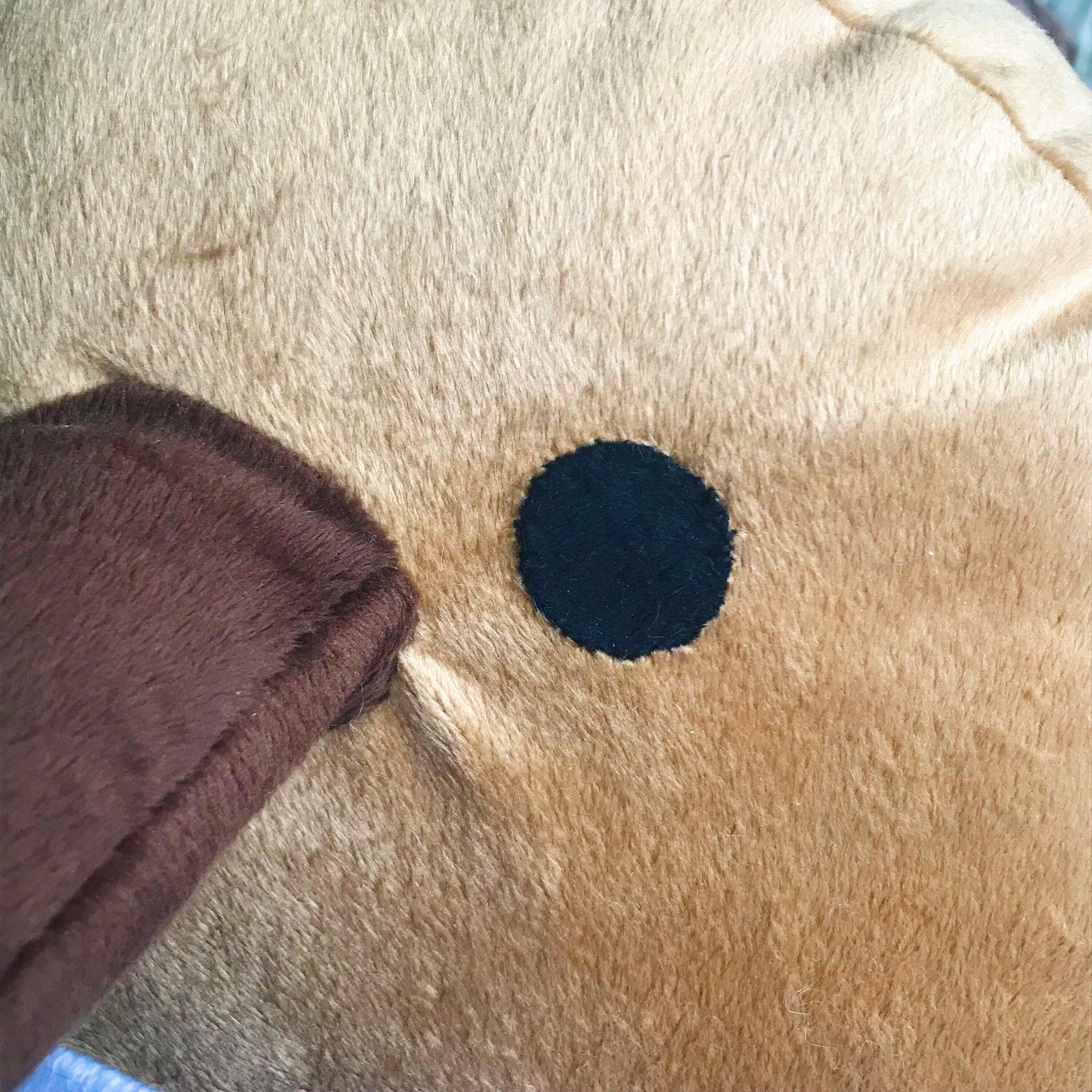 platypus squishmallow platypus squishmallow