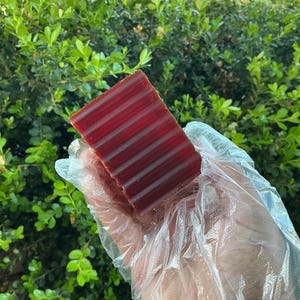 Turmeric & Mango Body Soap