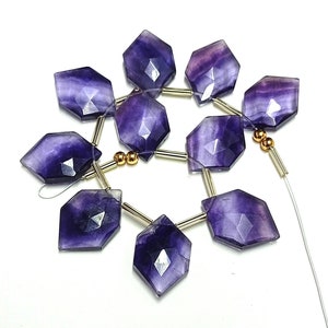 Puede incluir: Un collar de cuentas de fluorita p&uacute;rpura facetadas y hexagonales. Cada cuenta es de color violeta intenso con vetas moradas y blancas m&aacute;s claras. Las cuentas est&aacute;n ensartadas en un alambre plateado con detalles dorados.