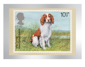 1979 Welsh Springer dog postage stamp on a large fridge magnet - Welsh Springer Tarfgi Cymreig dog - vintage unique postage stamp art