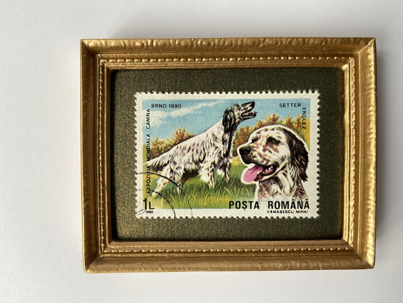 Puede incluir: Un sello postal vintage enmarcado con un perro Setter ingl&eacute;s blanco y marr&oacute;n. El sello es de Ruman&iacute;a y dice "Posta Romana" y "Vamasecul Mihai". El sello tambi&eacute;n dice "BRNO 1990" y "EXPOZITIA MONDIALA CANINA".