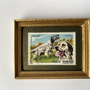 Puede incluir: Un sello postal vintage enmarcado con un perro Setter ingl&eacute;s blanco y marr&oacute;n. El sello es de Ruman&iacute;a y dice "POŞTA ROM&Acirc;NĂ" y "BRNO 1980".