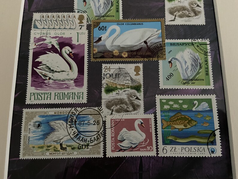 A4 gerahmt Bild mit Schwan Briefmarken einzigartige ein Etsy