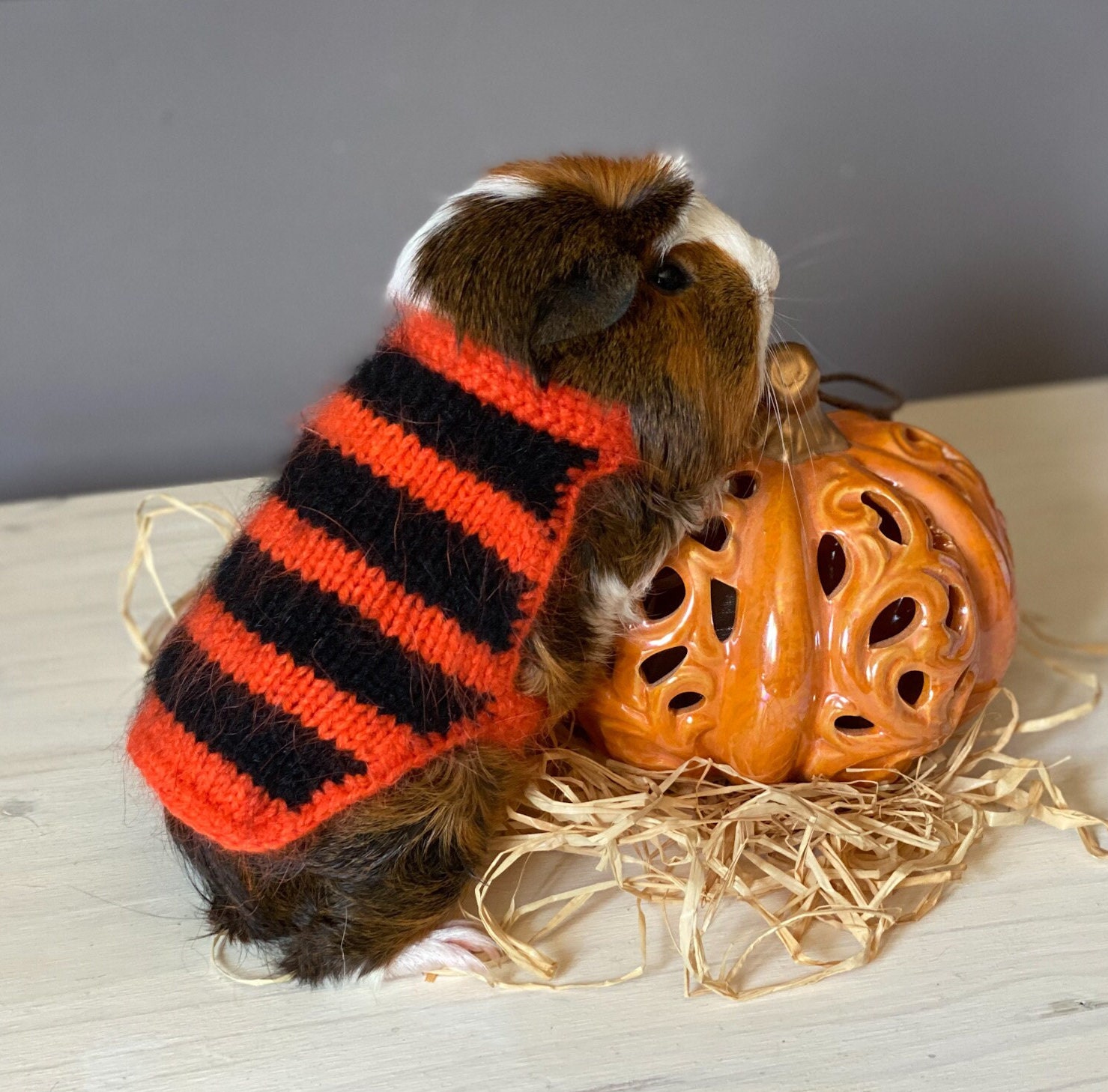Cochon d'inde Vêtements Halloween Orange - Pull à Rayures Noires Pet Gift