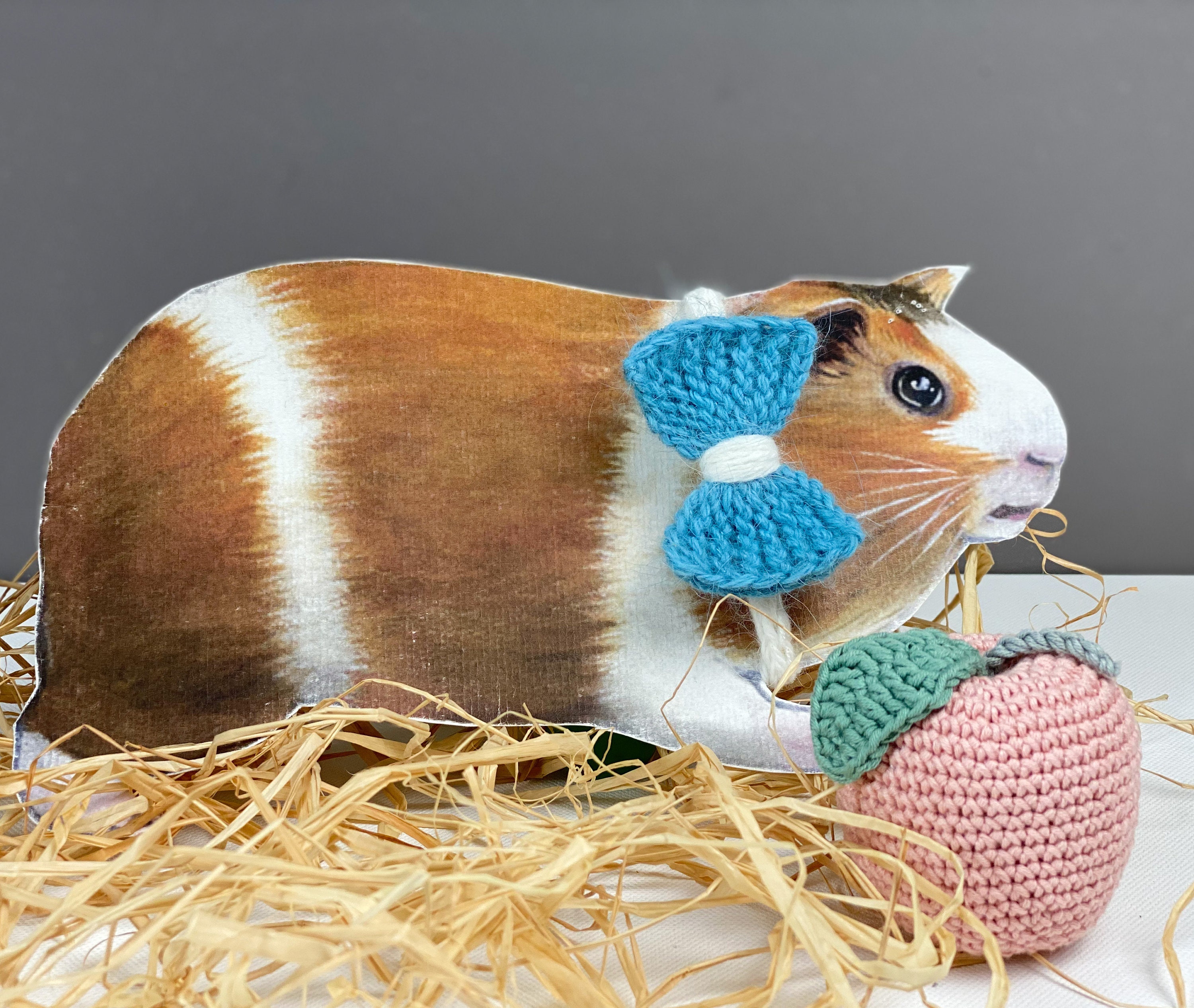 Vêtements de Cochon d'inde Un Bon Cadeau Pour Votre Arc Accessoire Animaux Compagnie