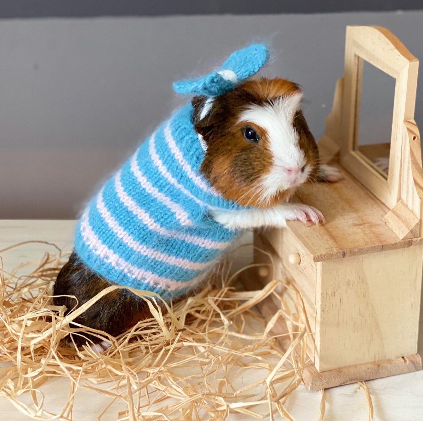 Pull de Vêtements Cochon d'inde avec Des Rayures Roses Bleues et Douces Est Un Bon Cadeau Pour Votre