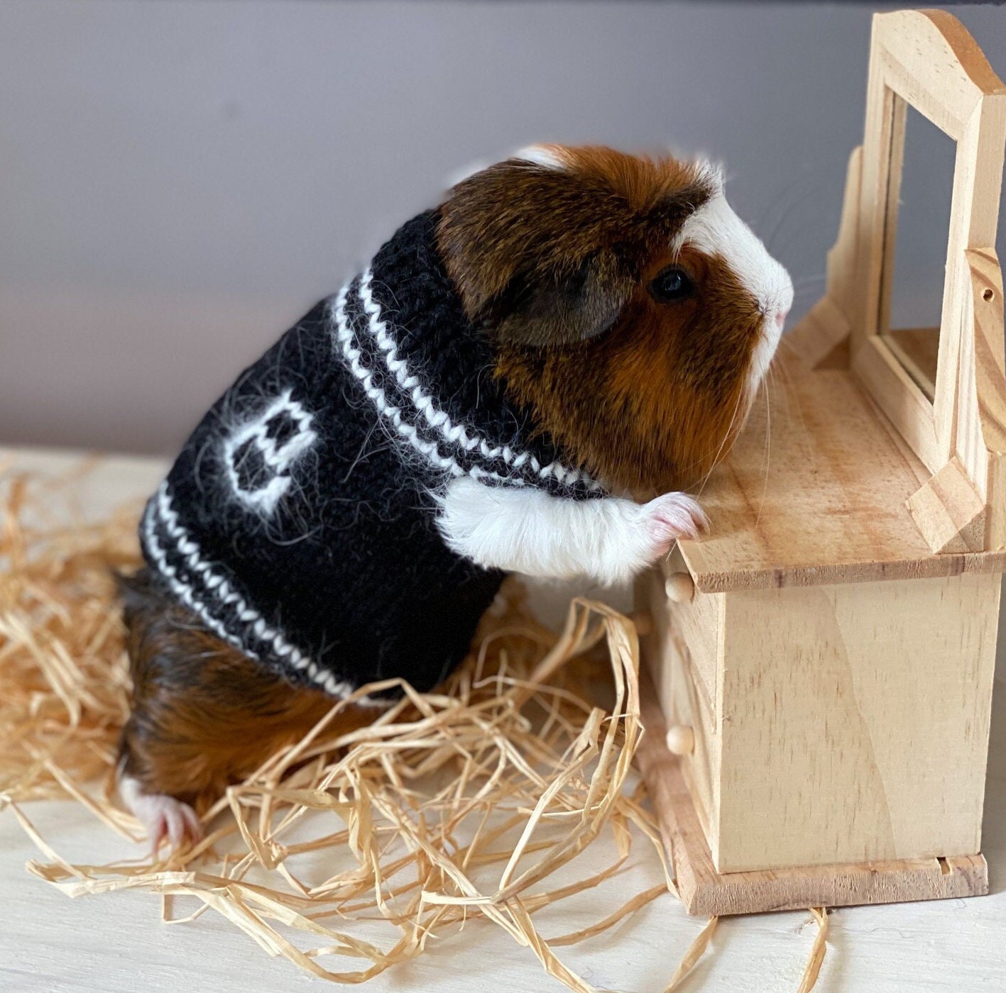 Cochon d'inde Ce Pull Pour Votre Petit Animal de Compagnie Est Un Cadeau Merveilleux