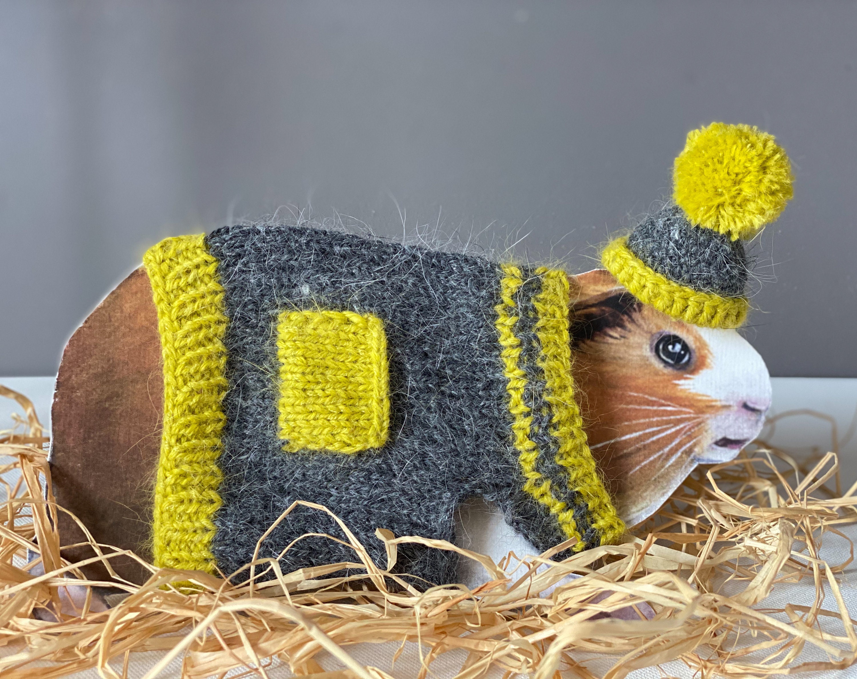 Guinée Pig Vêtements Petit Pull Cadeau Pour Animaux de Compagnie et Chapeau