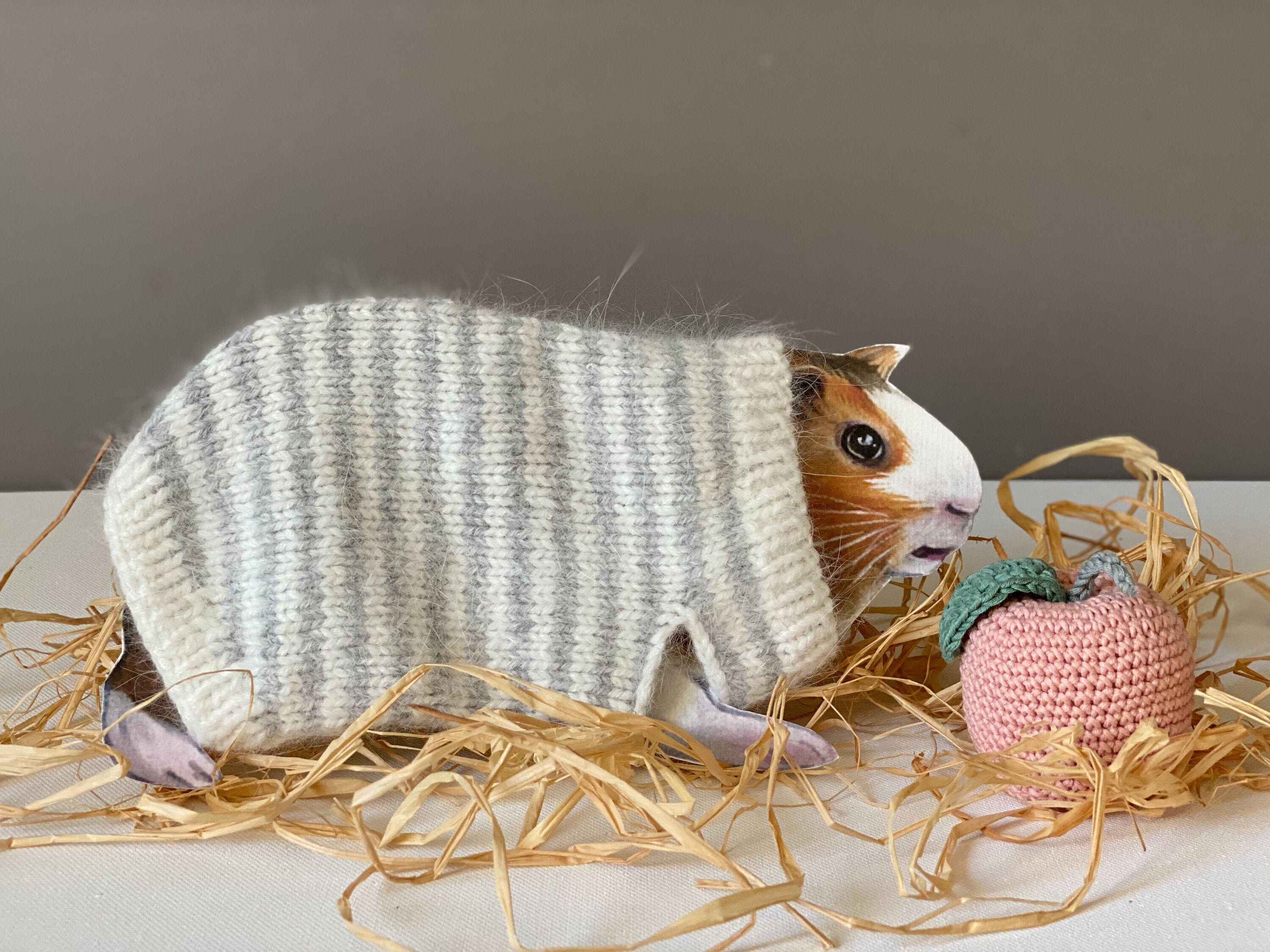 Guinea pigs clothes Sweater knitted from wool Handmade Etsy