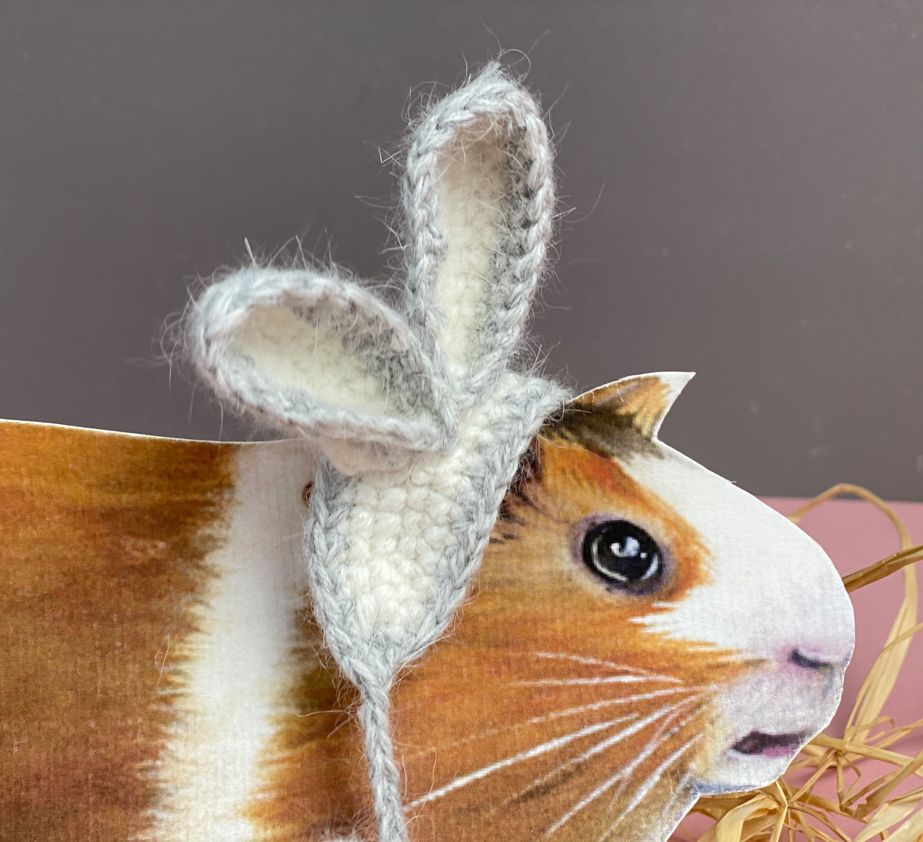 Vêtements de Cochon d'inde Ce Chapeau Pour Votre Petit Animal Compagnie Peut Être Un Cadeau Vacances