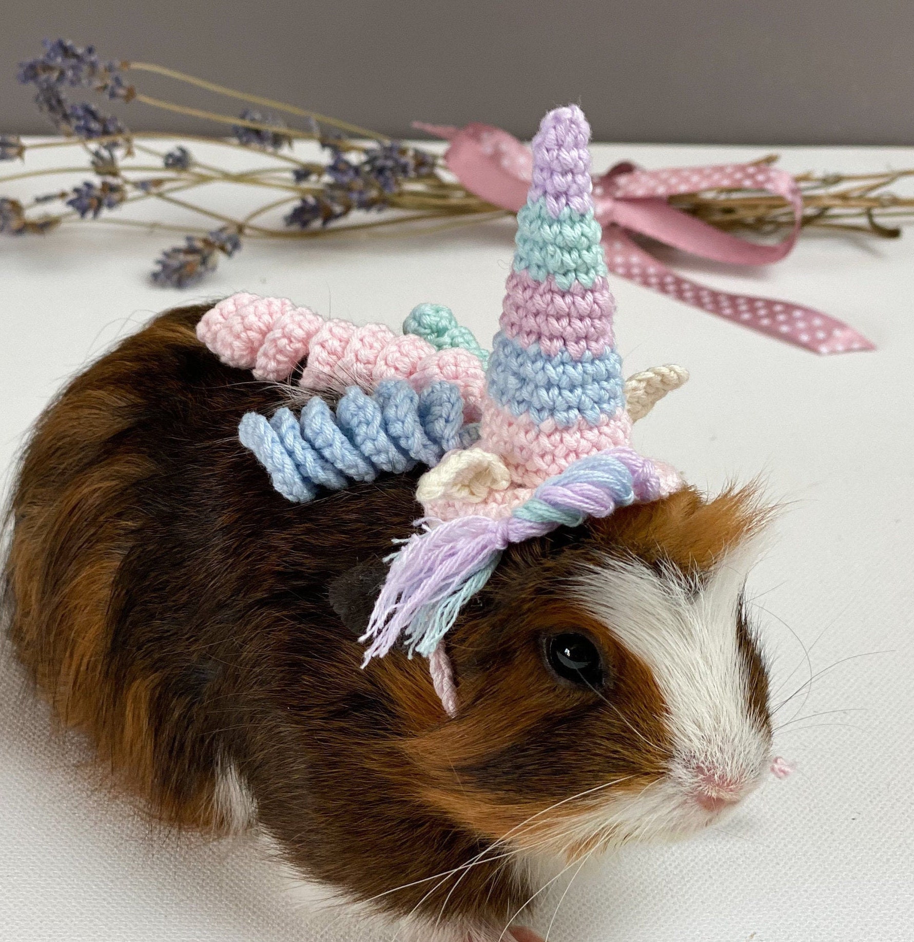 Vêtements de Cochon d'inde. Ce Chapeau Licorne Pour Votre Animal Compagnie Peut Être Un Cadeau Vacan