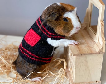 Meerschweinchen pullover - Vertrauen Sie unserem Gewinner