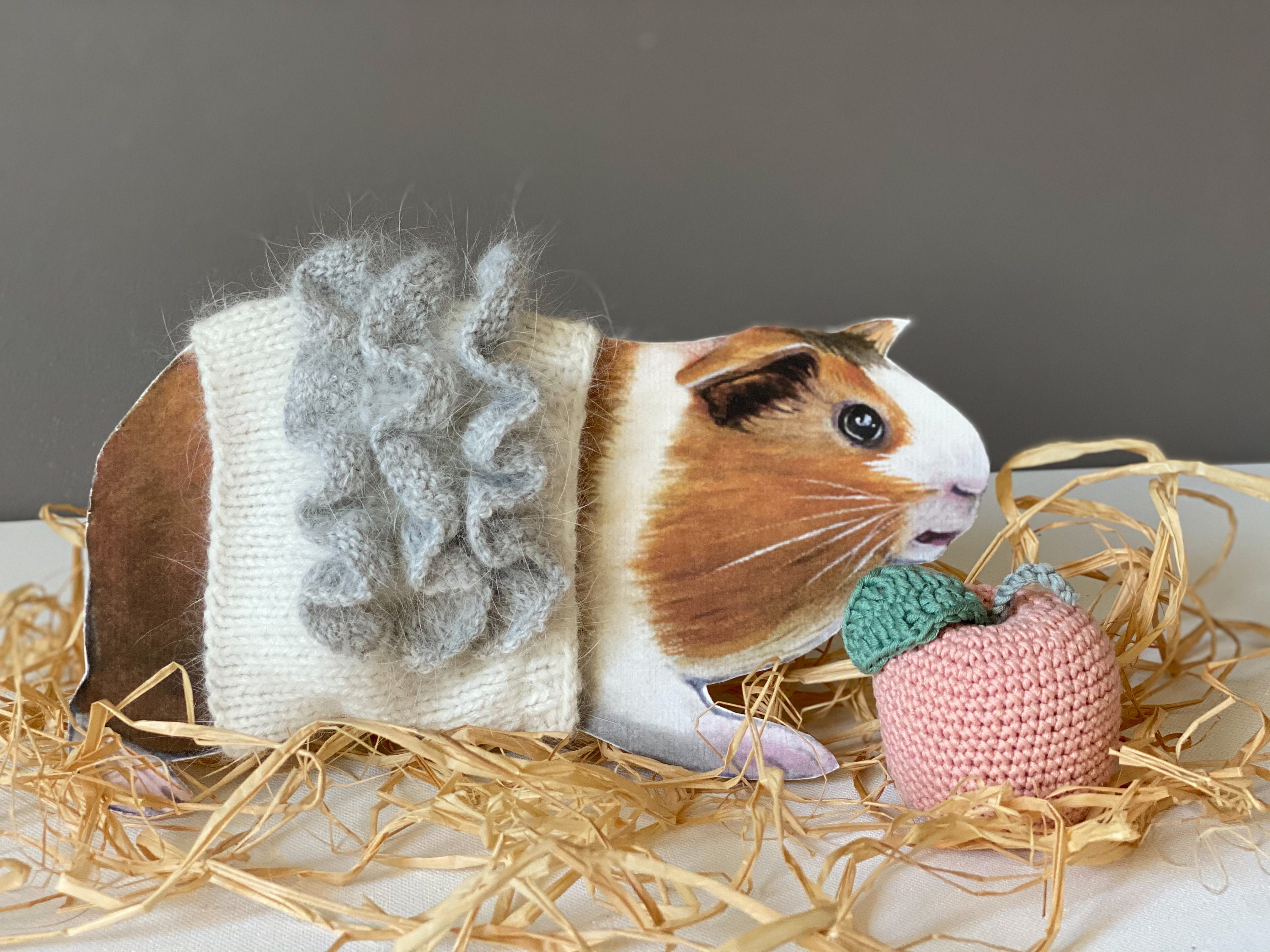 Vêtements de Cochon d'inde Pour Petits Animaux Familiers