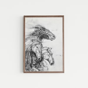 Horse Head Drawing, Horse Drawing Easy, Horse Drawing Wall Art, Horse Artwork