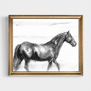 Original Horse Drawing, Charcoal Drawing, Horse Drawing, Horse Art, Horse Portrait