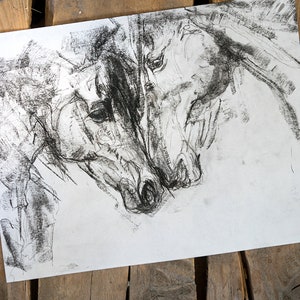 Pu&ograve; includere: Un disegno a carboncino bianco e nero di due teste di cavallo, con i nasi che si toccano. Il disegno &egrave; su un foglio di carta bianco.