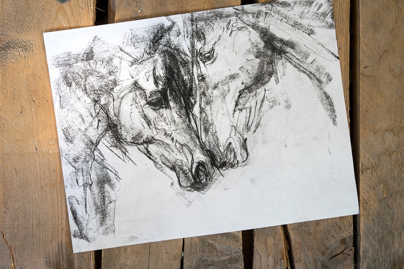 Pu&ograve; includere: Un disegno a carboncino bianco e nero di due teste di cavallo, con i nasi che si toccano. Il disegno &egrave; su un foglio di carta bianco.